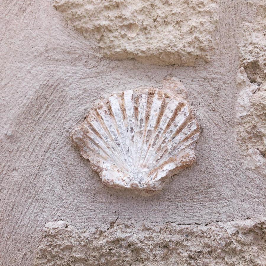 Lamanna Summer House Polignano a Mare Luaran gambar